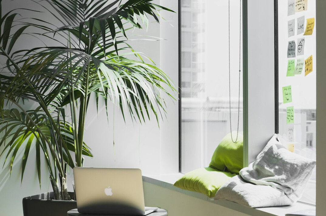 eco friendly office with plants