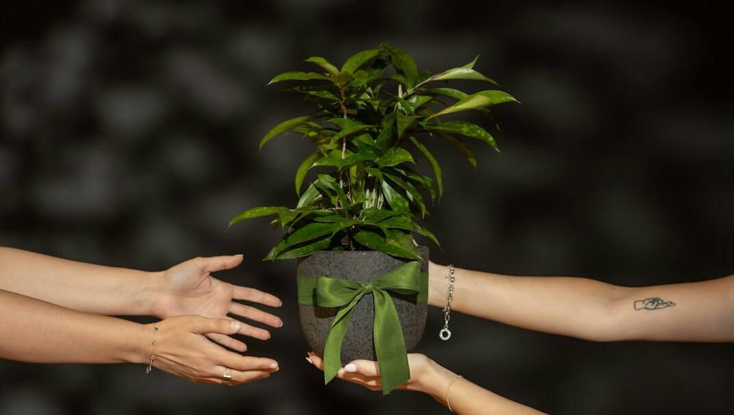 eco friendly practices