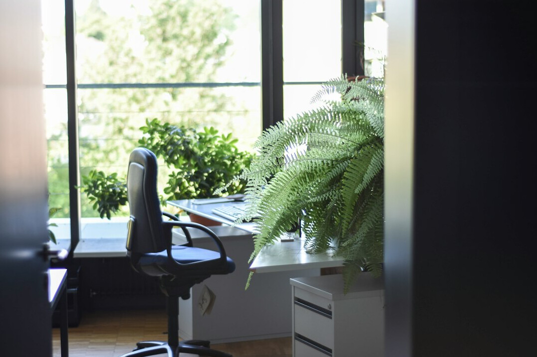 sustainable office setup